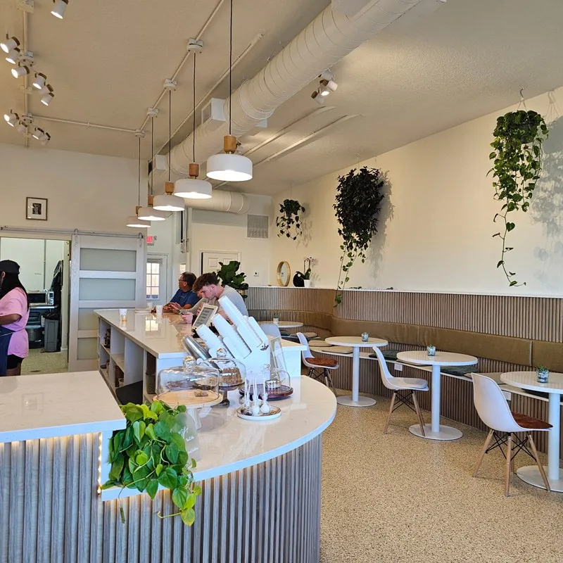 Café with track lighting and pendants over the counter