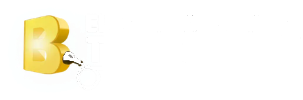 Bonaccorso Electrical Service Technology